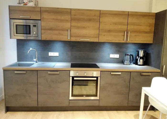 Apartment T2 Helle Stadtzentrum Voltaire Hof By Interhome