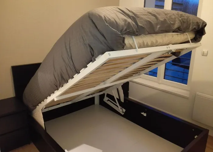 T2 Helle Stadtzentrum Voltaire Hof By Interhome Apartment